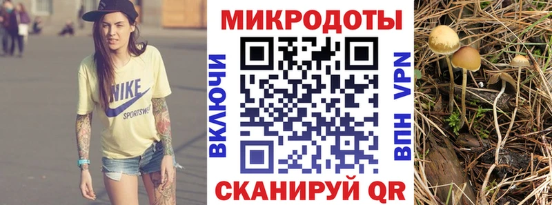 Галлюциногенные грибы Psilocybe  Щёлкино 