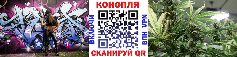 Бошки Шишки MAZAR  где купить наркоту  Щёлкино 